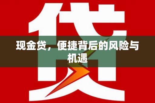 尖扎现金贷，便捷背后的风险与机遇