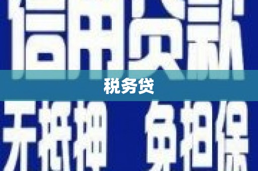 尖扎税务贷