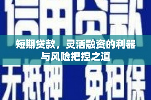 尖扎短期贷款，灵活融资的利器与风险把控之道