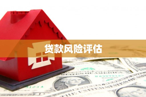 尖扎贷款风险评估