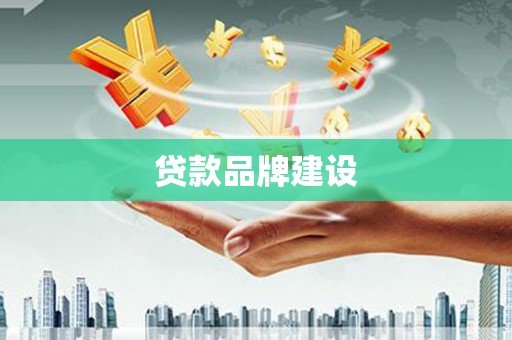 尖扎贷款品牌建设