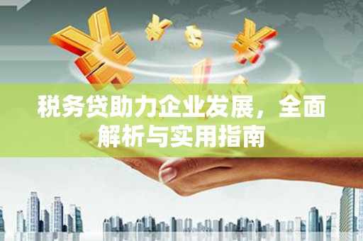 尖扎税务贷助力企业发展，全面解析与实用指南