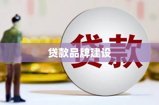 尖扎贷款品牌建设