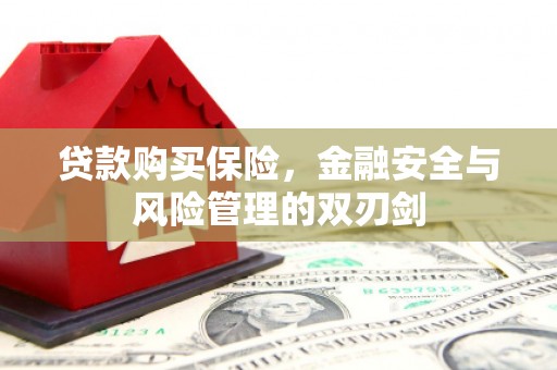 尖扎贷款购买保险，金融安全与风险管理的双刃剑