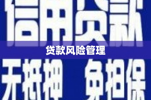 尖扎贷款风险管理