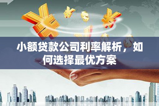 尖扎小额贷款公司利率解析，如何选择最优方案