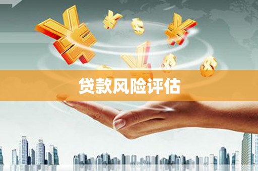尖扎贷款风险评估