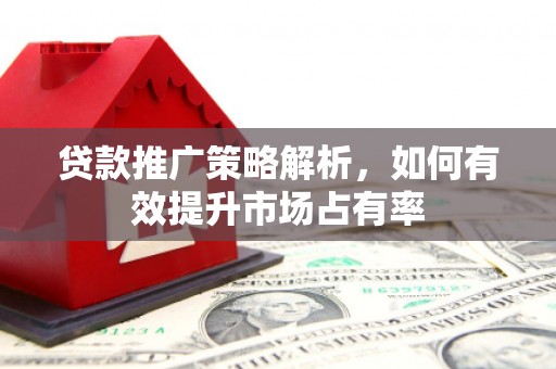 尖扎贷款推广策略解析，如何有效提升市场占有率