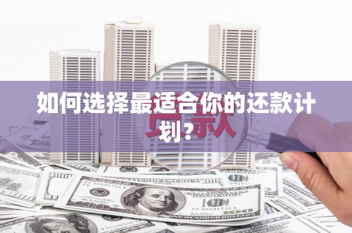 尖扎如何选择最适合你的还款计划？