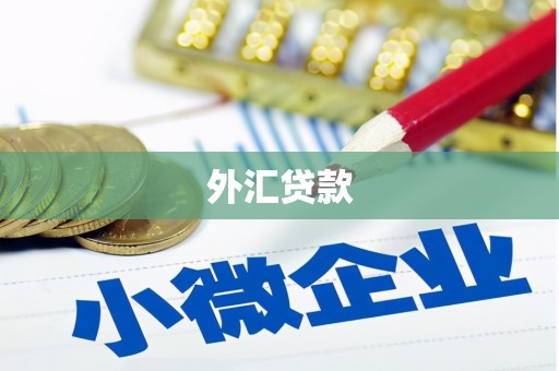 尖扎外汇贷款