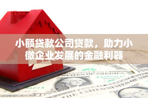 尖扎小额贷款公司贷款，助力小微企业发展的金融利器