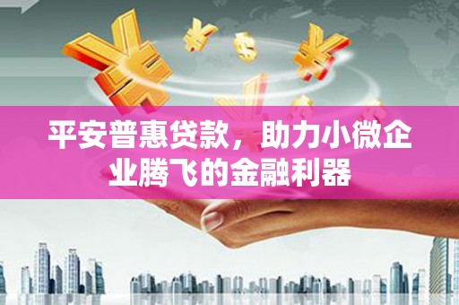 尖扎平安普惠贷款，助力小微企业腾飞的金融利器