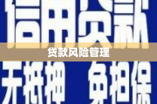 尖扎贷款风险管理