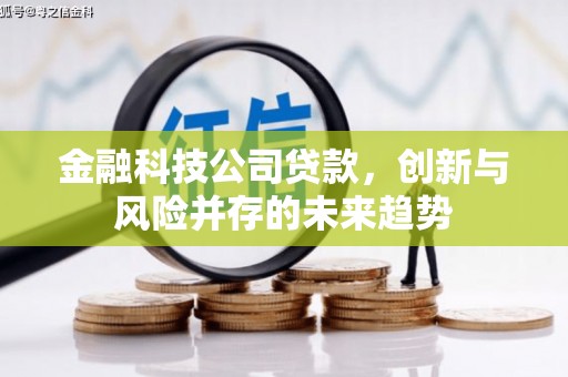 尖扎金融科技公司贷款，创新与风险并存的未来趋势