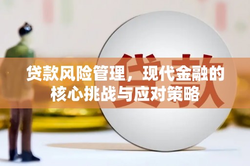 尖扎贷款风险管理，现代金融的核心挑战与应对策略