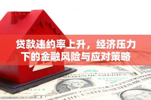 尖扎贷款违约率上升，经济压力下的金融风险与应对策略