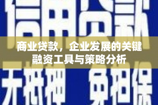 尖扎商业贷款，企业发展的关键融资工具与策略分析