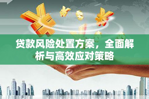 尖扎贷款风险处置方案，全面解析与高效应对策略