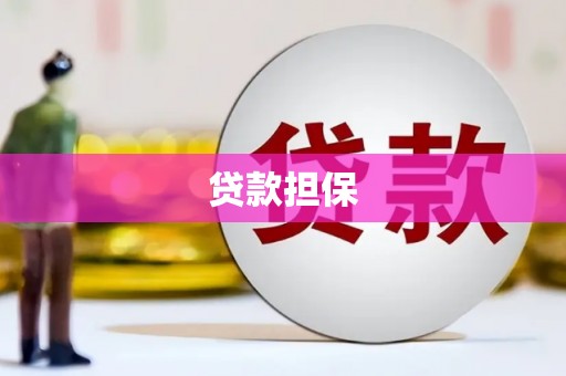 尖扎贷款担保