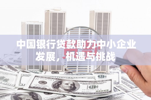 尖扎中国银行贷款助力中小企业发展，机遇与挑战