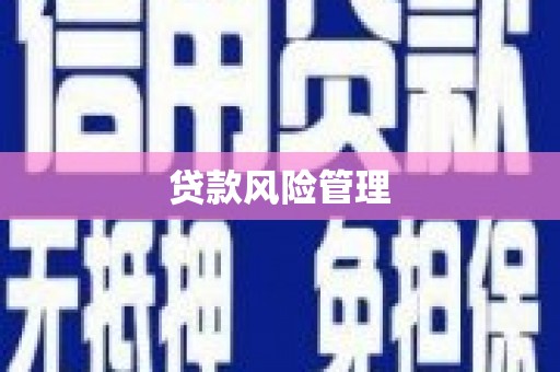 尖扎贷款风险管理