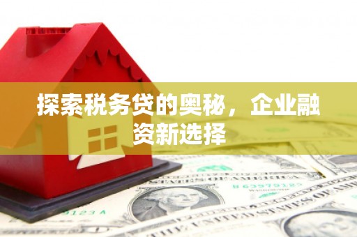 尖扎探索税务贷的奥秘，企业融资新选择