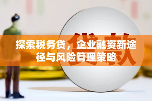 尖扎探索税务贷，企业融资新途径与风险管理策略