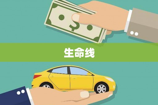 尖扎生命线