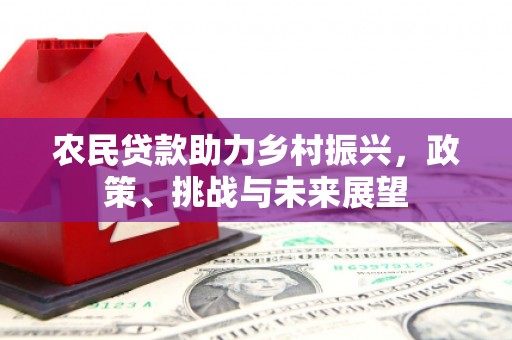 尖扎农民贷款助力乡村振兴，政策、挑战与未来展望