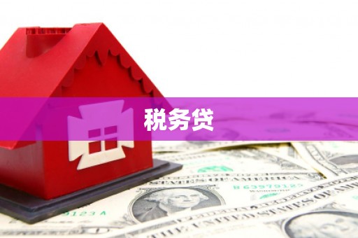 尖扎税务贷