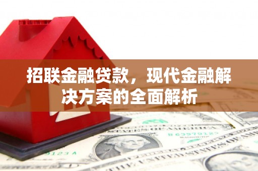 尖扎招联金融贷款，现代金融解决方案的全面解析