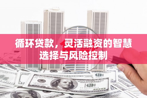 尖扎循环贷款，灵活融资的智慧选择与风险控制