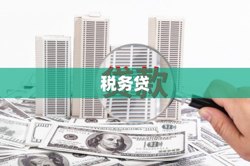 尖扎税务贷