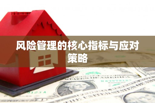 尖扎风险管理的核心指标与应对策略