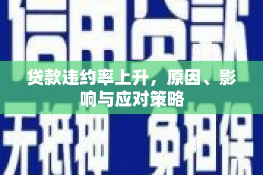 尖扎贷款违约率上升，原因、影响与应对策略