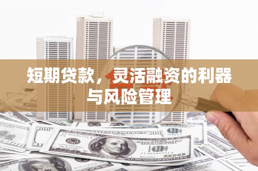尖扎短期贷款，灵活融资的利器与风险管理