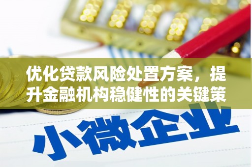 尖扎优化贷款风险处置方案，提升金融机构稳健性的关键策略