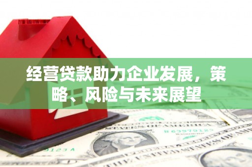 尖扎经营贷款助力企业发展，策略、风险与未来展望