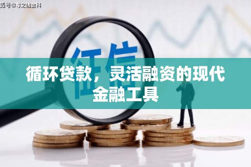 尖扎循环贷款，灵活融资的现代金融工具
