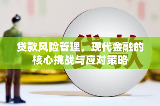 尖扎贷款风险管理，现代金融的核心挑战与应对策略