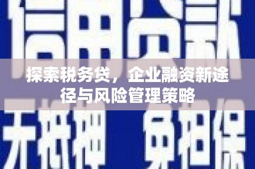 尖扎探索税务贷，企业融资新途径与风险管理策略