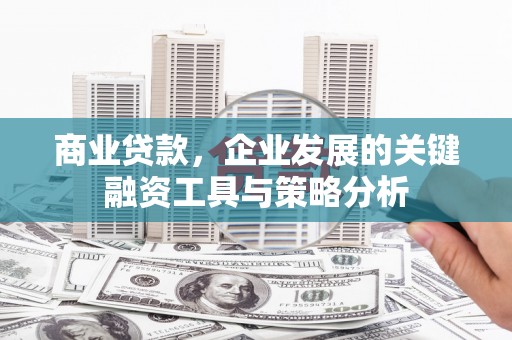 尖扎商业贷款，企业发展的关键融资工具与策略分析