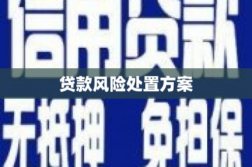 尖扎贷款风险处置方案