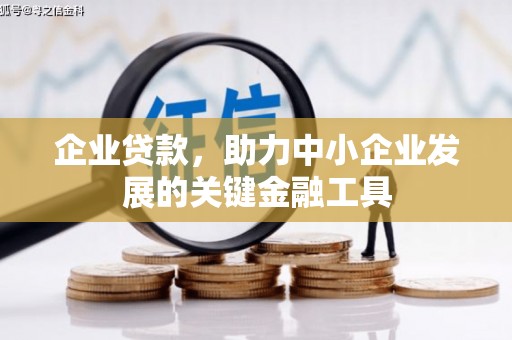 尖扎企业贷款，助力中小企业发展的关键金融工具