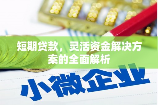 尖扎短期贷款，灵活资金解决方案的全面解析