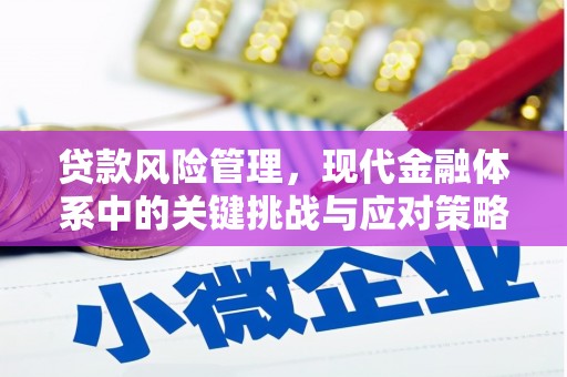 尖扎贷款风险管理，现代金融体系中的关键挑战与应对策略