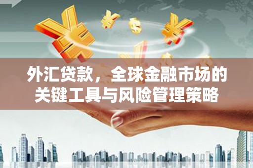尖扎外汇贷款，全球金融市场的关键工具与风险管理策略