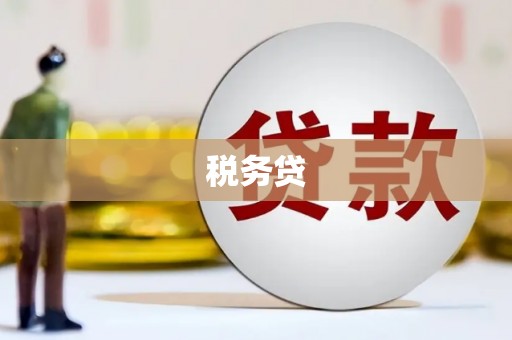 尖扎税务贷