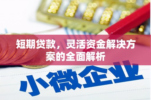 尖扎短期贷款，灵活资金解决方案的全面解析