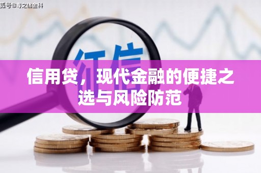 尖扎信用贷，现代金融的便捷之选与风险防范